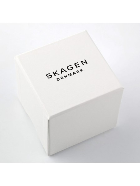 Skagen SKW6690 men's watch, stainless steel strap
