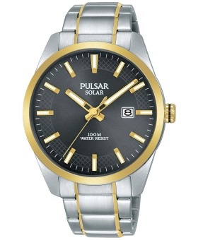 Pulsar PX3184X1 men's watch
