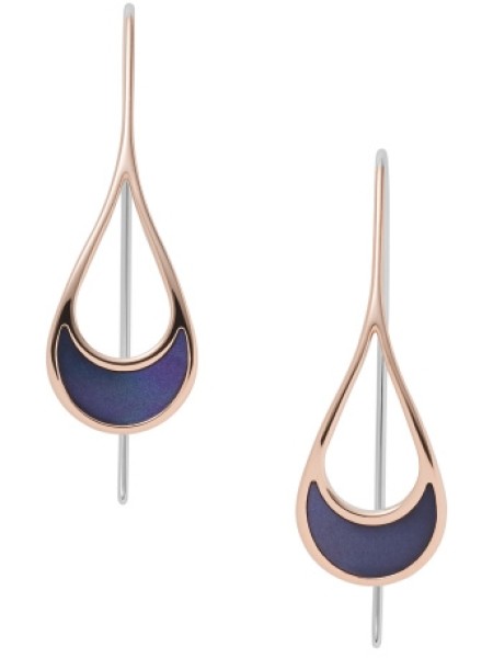 Skagen ladies' earrings SKJ1361791, stainless steel