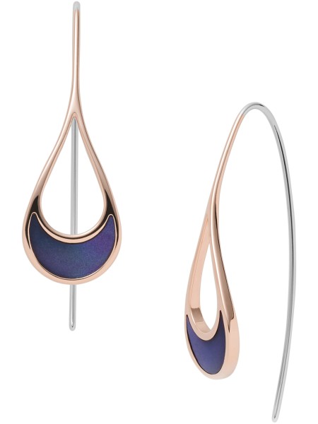 Skagen ladies' earrings SKJ1361791, stainless steel