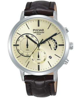 Pulsar PT3991X1 men's watch