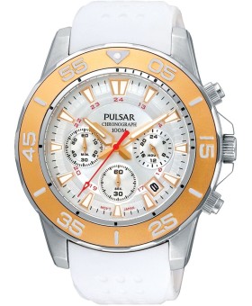 Pulsar PT3133X1 men's watch