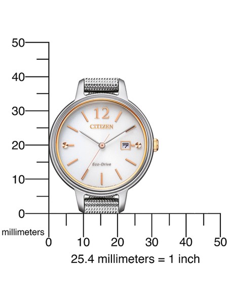 Citizen Eco-Drive Elegance EW2449-83A Γυναικείο ρολόι, stainless steel λουρί