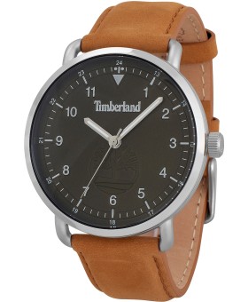 Timberland TDWJA2001301 montre pour homme