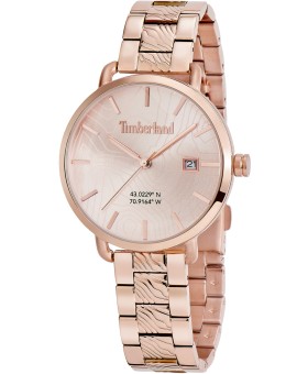 Timberland TDWLH2101702 montre pour homme