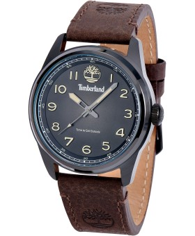 Timberland TDWGA2152104 montre pour homme